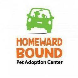 Fundraising Page: Steve Giangiulio